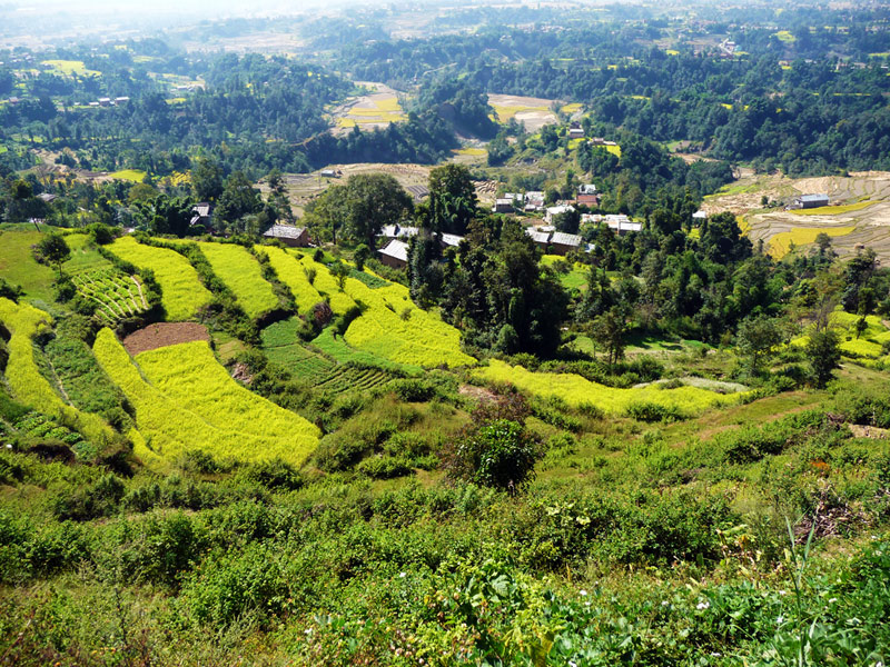 Green Village at Kathmandu