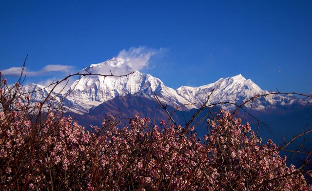 ghorepani poon hill trek annapurna nepal by outdoor himalayan treks 6