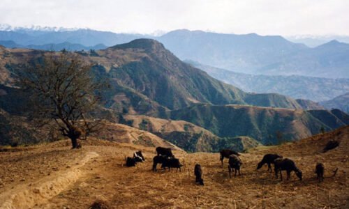 Helambu Trek