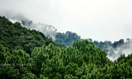 Highland forest Godavari nepal