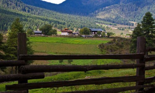 Phobjika valley Tour