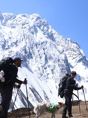 Nepal Trekking